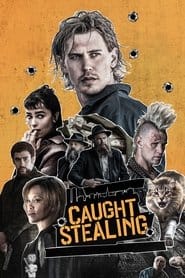 Złodziej z przypadku Cały Film • Vider • Online