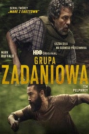Grupa zadaniowa (2025) - Sprawdź serial na Vider