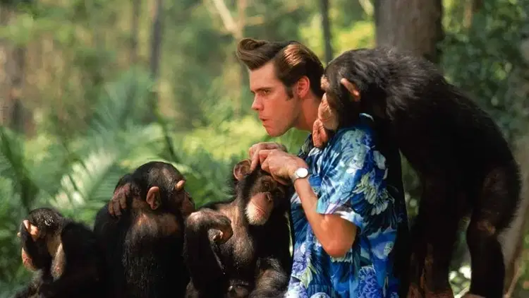 Ace Ventura: Zew natury Cały Film – eKino