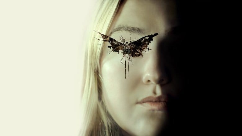The Watchers Cały film - Gdzie obejrzeć online - Viderio