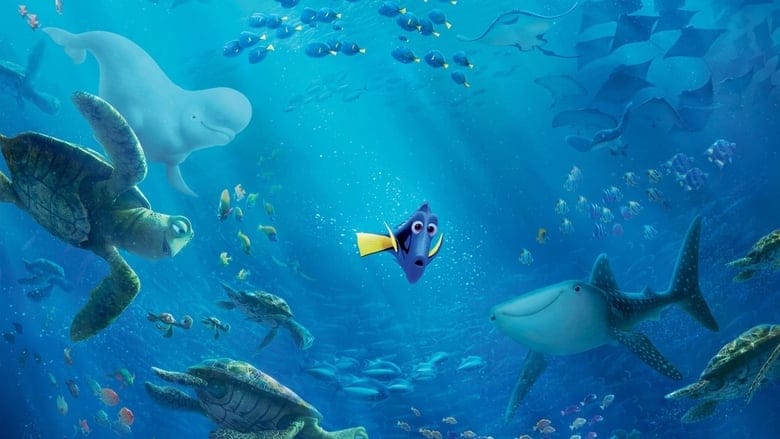 Gdzie jest Dory Cały Film – eKino